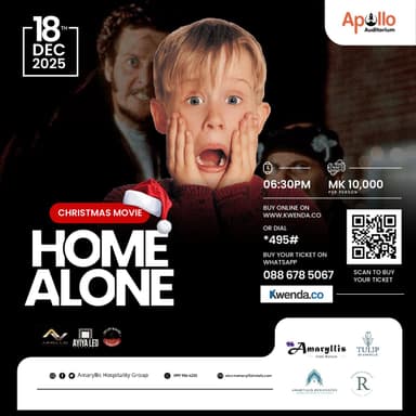 Home Alone - Christmas Movie
