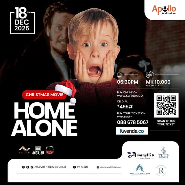 Home Alone - Christmas Movie